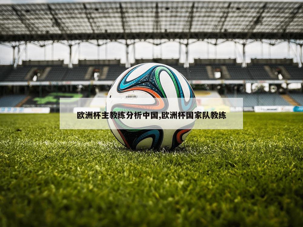 欧洲杯主教练分析中国,欧洲杯国家队教练
