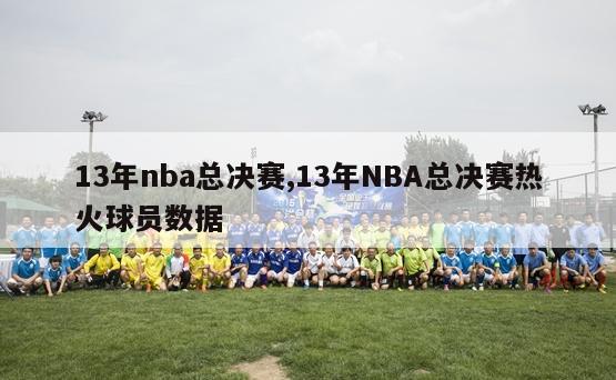 13年nba总决赛,13年NBA总决赛热火球员数据