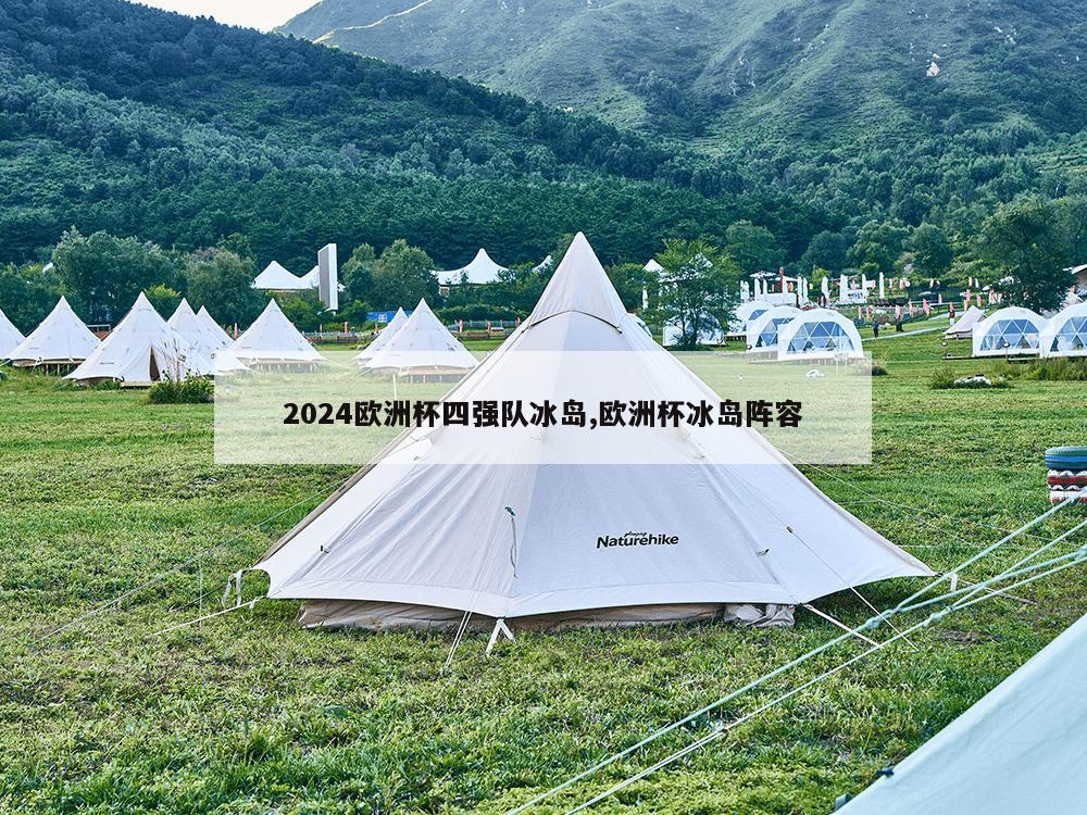 2024欧洲杯四强队冰岛,欧洲杯冰岛阵容