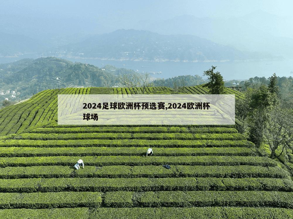 2024足球欧洲杯预选赛,2024欧洲杯球场