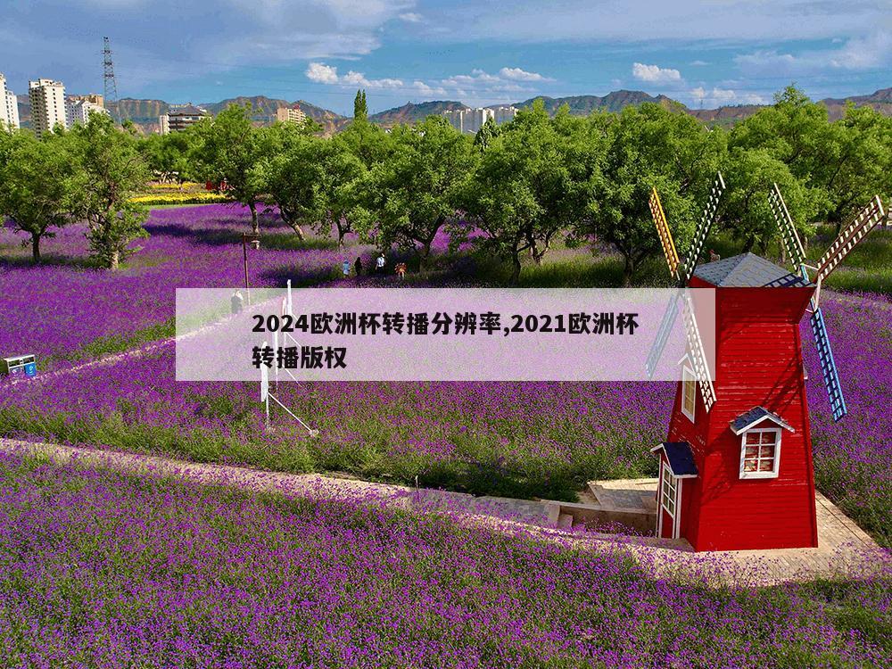 2024欧洲杯转播分辨率,2021欧洲杯转播版权