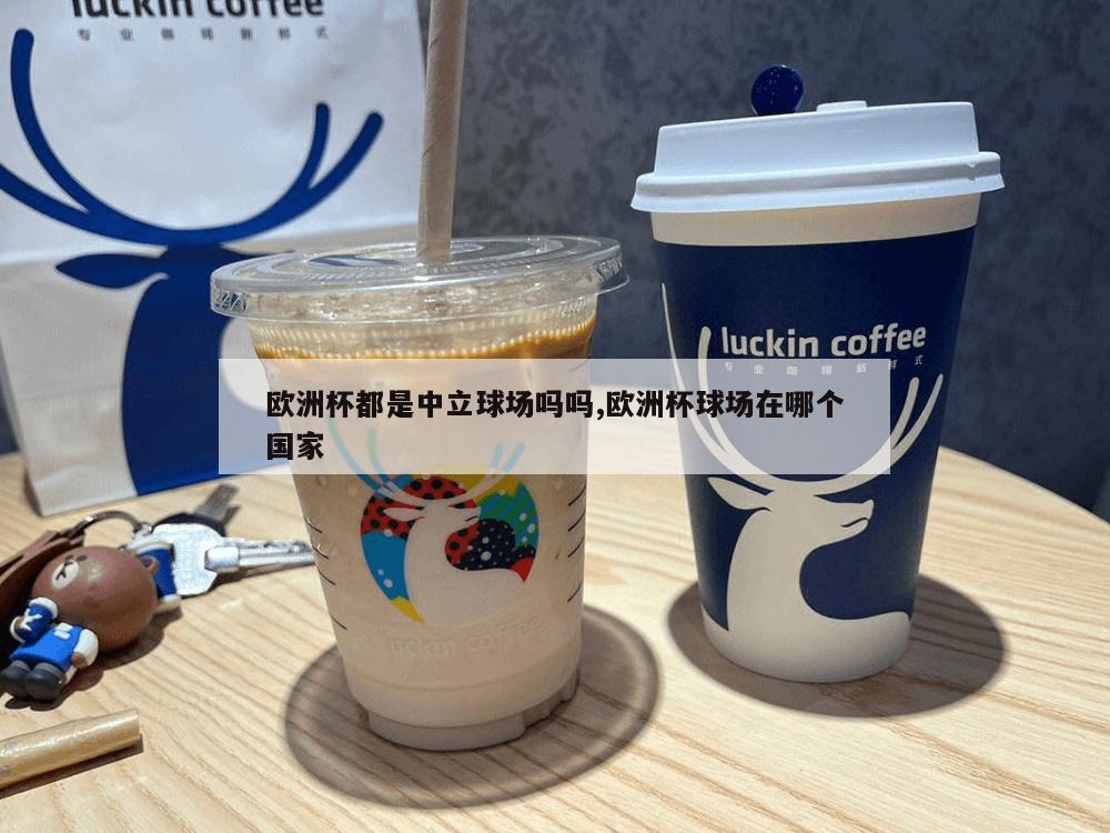 欧洲杯都是中立球场吗吗,欧洲杯球场在哪个国家