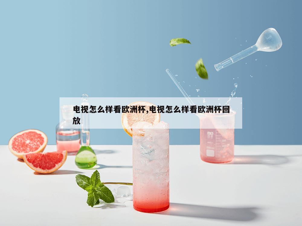 电视怎么样看欧洲杯,电视怎么样看欧洲杯回放