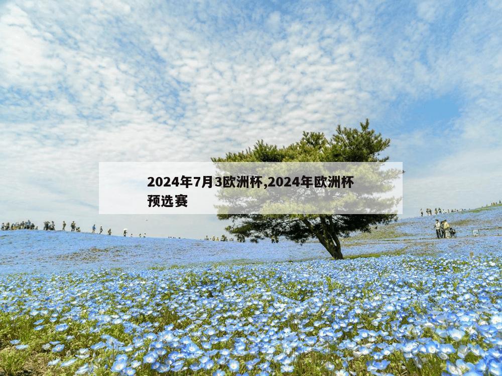 2024年7月3欧洲杯,2024年欧洲杯预选赛