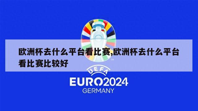 欧洲杯去什么平台看比赛,欧洲杯去什么平台看比赛比较好