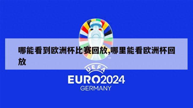 哪能看到欧洲杯比赛回放,哪里能看欧洲杯回放