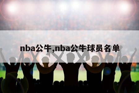 nba公牛,nba公牛球员名单