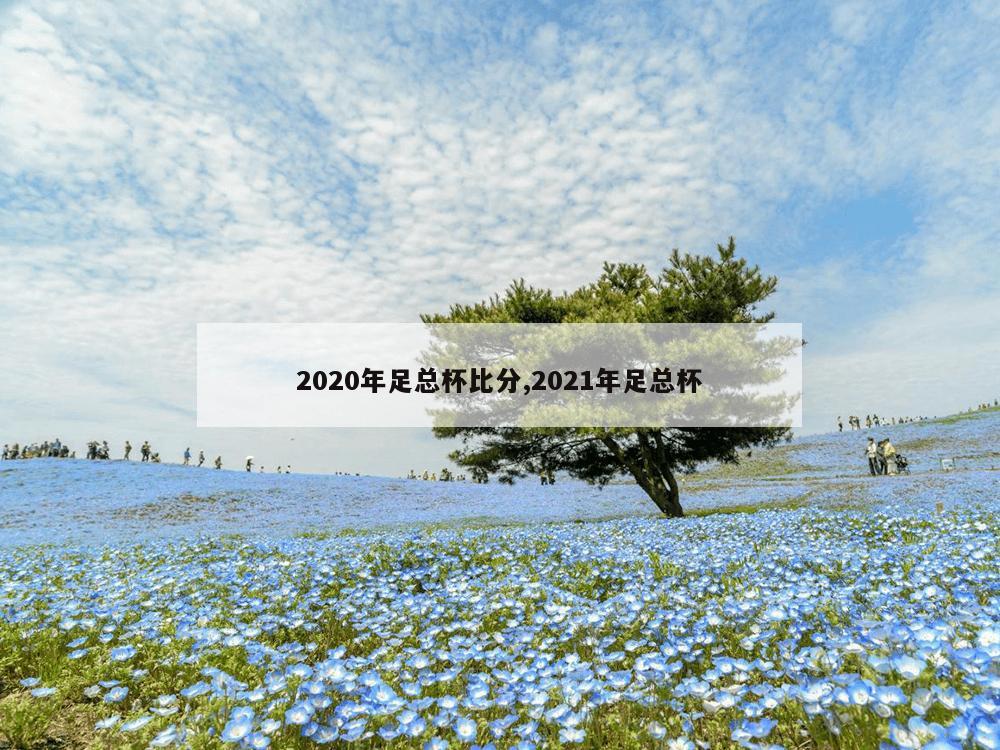 2020年足总杯比分,2021年足总杯